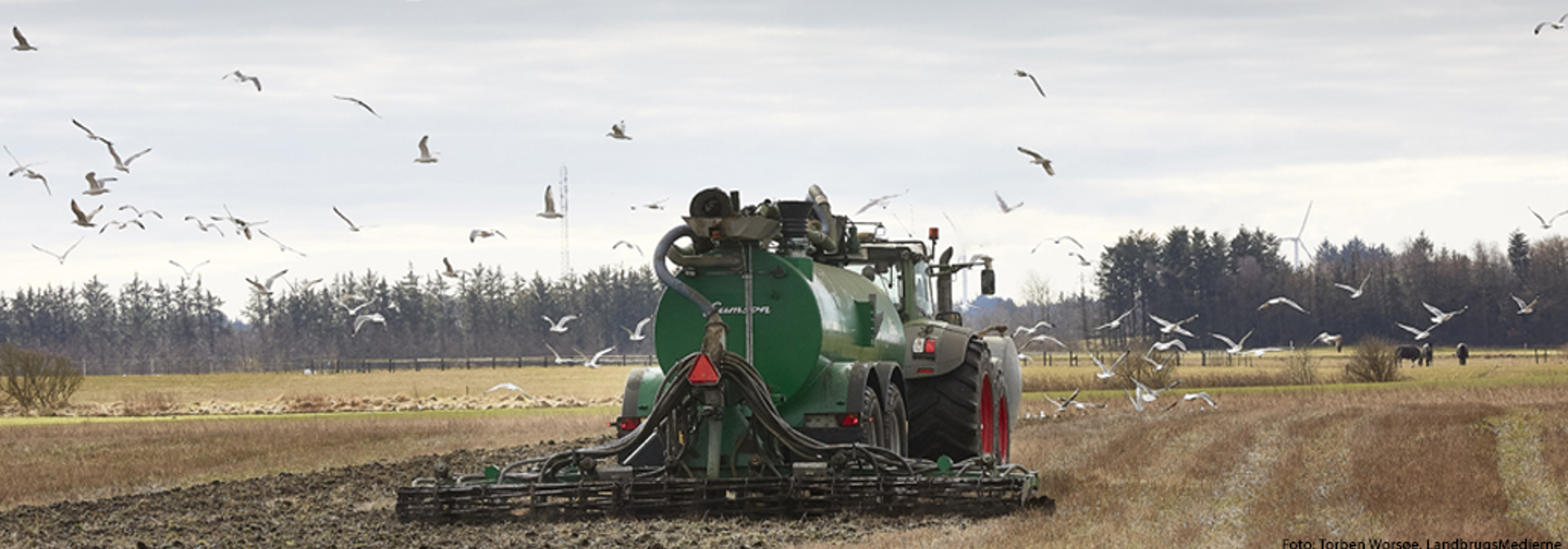 Næringsstoffer i det økologiske landbrug